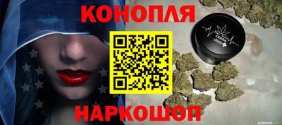 прущие грибы Краснодар