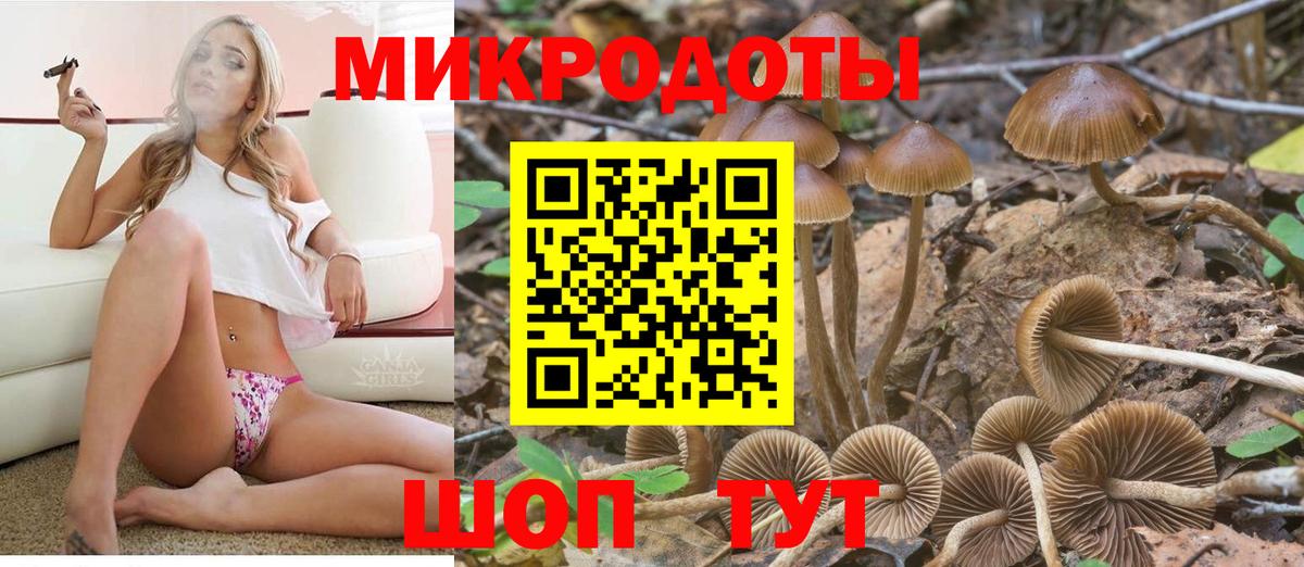 Галлюциногенные грибы прущие грибы  Вход с VPN  Ярославль  Псилоцибиновые грибы ЛСД 